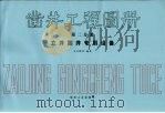 凿井工程图册 第2分册 立井凿井专用设备 1988 PDF电子版封面 9787502000493 王介峰编著