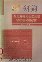 西北海相火山岩地区块状硫化物矿床（1994 PDF版）