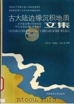 古大陆边缘沉积地质文集（1992 PDF版）
