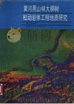 黄河黑山峡大柳树松动岩体工程地质研究 1993 PDF电子版封面 7542404237 韩文峰等著
