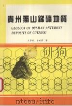 贵州独山锑矿地质（1994 PDF版）