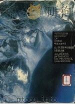 中国石油地质 山东胜利油区诸盆地 1995 PDF电子版封面 750211503X 胜利石油管理局编