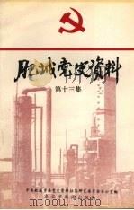 肥城党史资料 第13集 1997 PDF电子版封面 中共肥城市委党史资料征集研究委员会编