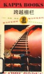 跨越栅栏（1992 PDF版）