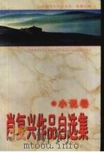 肖复兴作品自选集  小说卷（1997 PDF版）