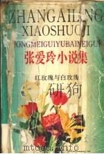 红玫瑰与白玫瑰（1995 PDF版）