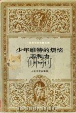 少年维特的烦恼 亲和力 1995 PDF电子版封面 7020019803 (德)歌德(Johann Wolfgang Goethe)著