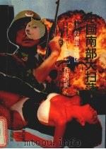 中国南部大扫荡 云南平远地区“8.31”行动纪实 1993 PDF电子版封面 7537113335 谭其运著
