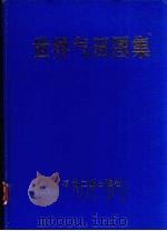 世界气田图集（1991 PDF版）