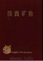 陕西矿物 1985 PDF电子版封面 叶芳,雷宗荣,周胜利等编著
