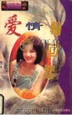 爱情轮回器   1998  PDF电子版封面  7806073299  （台湾）雨菱著 