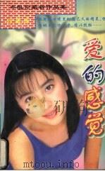 爱的感觉（1998 PDF版）