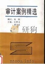 审计案例精选 1992 PDF电子版封面 张暑炎,潘剑斌主编