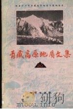 青藏高原地质文集 20 “三江”论文专辑 1990 PDF电子版封面 7116007237 地质矿产部青藏高原地质文集编委会编