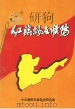 红旗飘在濮阳（ PDF版）
