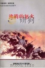 沸腾的怒火 纪念抗战胜利60周年 PDF电子版封面 博爱县史志办公室组编