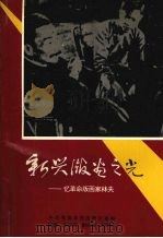 新兴版画之光 1995 PDF电子版封面 7800238776 中共苍南县党史研究室编