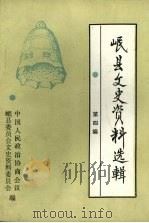 岷县文史资料选辑  第四辑（1997 PDF版）
