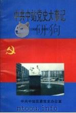 中共中站党史大事记 1990—1993 1995 PDF电子版封面 中共中站区委党史办公室