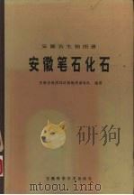 安徽笔石化石 1982 PDF电子版封面 13200·32 安徽省地质局区域地质调查队编著