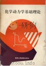 化学动力学基础理论 1991 PDF电子版封面 7541923672 李宗孝主编