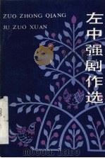 左中强剧作选 1991 PDF电子版封面 7503908920 左中强著