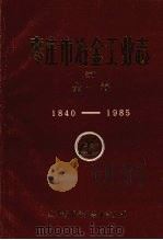 枣庄市冶金工业志  初稿  第一卷  1840-1985（1986 PDF版）