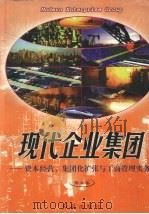 现代企业集团:资本经营、集团化扩张与工商管理实务 第3卷 1998 PDF电子版封面 7505102680 《现代企业集团》编委会编