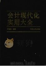 会计现代化实用大全 1994 PDF电子版封面 7205026954 于玉林主编