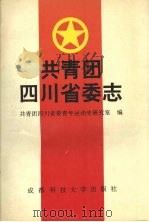 共青团四川省委志 1996 PDF电子版封面 7561633076 杨顺主编;共青团四川省委青年运动史研究室编