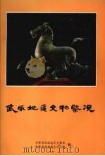 武威地区文物概况（1979 PDF版）