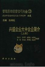 兴盛企业大中企业简介 上 1991 PDF电子版封面 7030019342 张辉竹,张辉军,赵熙文等编写