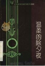 温柔的除夕夜（1993 PDF版）