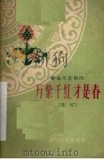 万紫千红才是春 花灯 1960 PDF电子版封面 10115·253 贵阳市群众艺术馆编