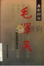 赤都财魁毛泽民 舒龙影视剧作选 1993 PDF电子版封面 7805791988 舒龙著
