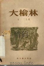 大榆林  戏剧·电影（1953 PDF版）