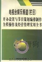 电视台娱乐频道 栏目 开办设置与节目策划编排制作全程操作及经营管理实用全书 4 PDF电子版封面