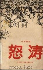怒涛 七场时事话剧 1960 PDF电子版封面 10069·564 北京人民艺术剧院集体创作