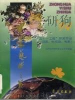 中华艺术之花  1994（1996 PDF版）