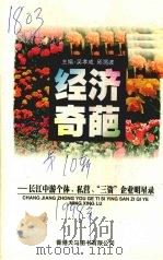 经济奇葩:长江中游个体、私营、“三资”企业明星录 1999 PDF电子版封面 9624507422 吴孝成,邱渭波主编