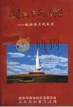 尉氏当代人物:政协委员风采录 尉氏文史资料第8辑 PDF电子版封面 政协尉氏县委员会,文史资料委员会编