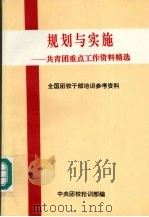 规划与实施：共青团重点工作资料精选（ PDF版）