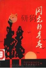 闪光的青春（ PDF版）