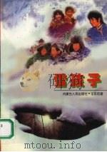 雪孩子 1996 PDF电子版封面 7204032748 王忠范著
