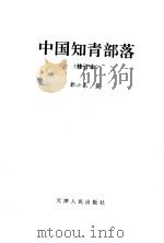 中国知青部落 修订本 1993 PDF电子版封面 7201015001 郭小东著
