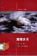 激情岁月（1999 PDF版）