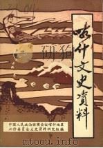 喀什文史资料 (上古时代—1949年) 第一辑 PDF电子版封面 工作委员会文史资料研究组编