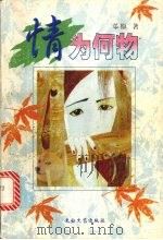 情为何物（1998 PDF版）