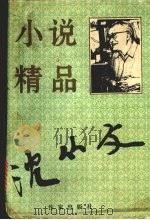 沈从文小说精品（1995 PDF版）