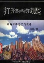 打开市场奥秘的钥匙 市场分析方法与实务 1999 PDF电子版封面 7507812995 林力著